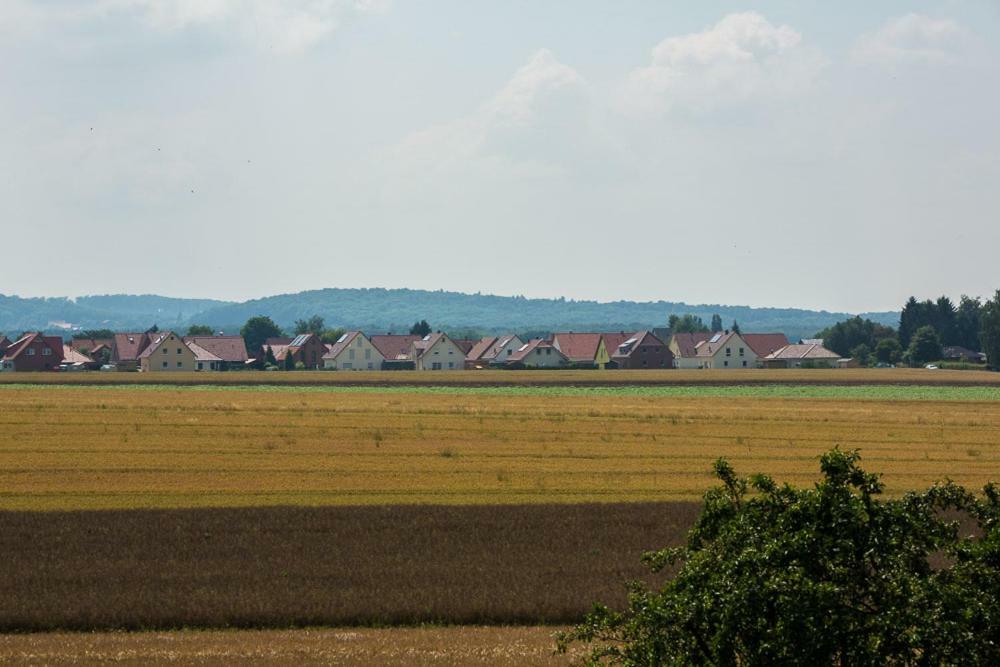Zwei Ferienwohnungen Ankerpatz 70 Qm Mit Loggia & Puppenstube 50 Qm Mit Gartenterrasse In Hagenburg Naehe Steinhuder Meer المظهر الخارجي الصورة